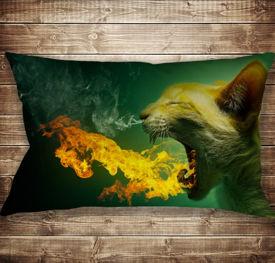 Подушка-картина с принтом на тему: Котик дышит огнем. 50 х 70 см